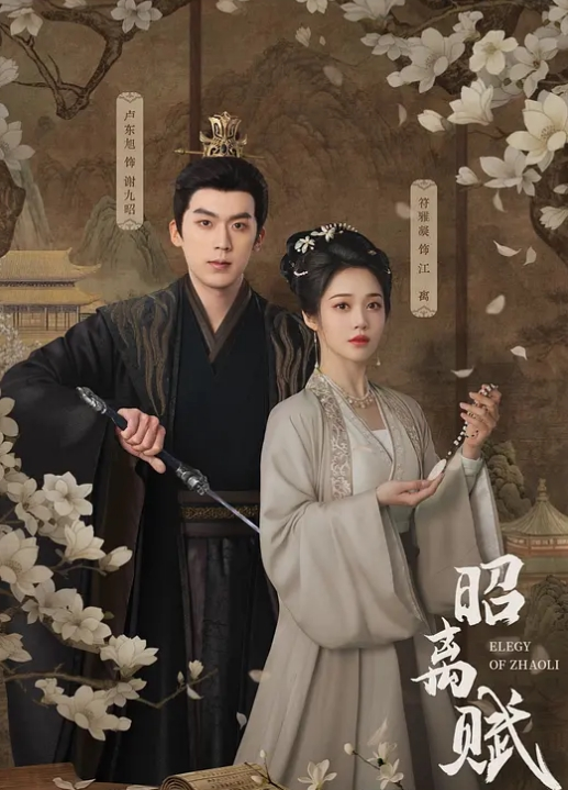 SM小母狗听从主人的安排塞满阴道 - 国产资源海报